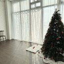 보네르 | 아모르보네르 촬영 후기｜50일 아기 성장앨범 + 크리스마스 컨셉 솔직 리뷰