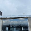 삼양해수욕장 | 제주 삼양해수욕장 느좋 카페 호우코우 hoko 솔직후기