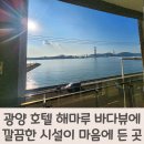 해마루호텔 | 광양 호텔 해마루 바다뷰에 깔끔한 시설이 마음에 든 곳