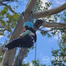 현북초등학교 이미지