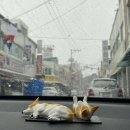 엔마트예산점 이미지
