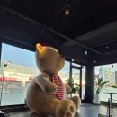 5센소커피 이미지