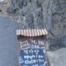 정한다방