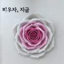 예쁠아 이미지