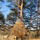 (주)디에이치 이미지