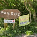 유한회사 퐁낭 | 한라산둘레길 천아숲길 5일차(2021.06.20)