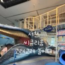 고래고래 | 서천 씨큐리움 고래고래놀이터 방문 후기