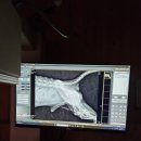 스머프동물병원 이미지