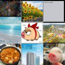 뽀끼오 | 2~3월 데이트