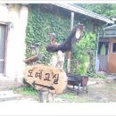 도예교실1 이미지