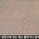 야채천국 - 강동구 천중로52길 37 | 야채천국