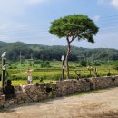 들꽃가든 이미지