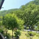 씨엘펜션 | [가평여행] 라포레 수영장펜션 씨엘(102호) 내돈내산 후기