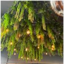 구도로통닭 부평본점 이미지