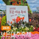충청북도 보은군 보은읍 동광길 26 | 보은대추축제 2025 대추 가격 페이백 이벤트 주차장 꿀팁 총정리