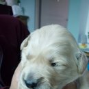 남제주 민박 이미지