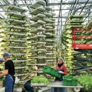 단일농장 이미지