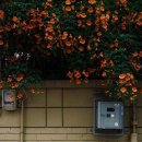 조엔커피 이미지