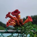 월현농장 이미지