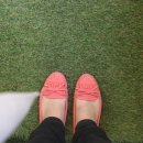 THE BON(더 본) 이미지