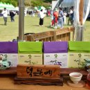 백연골발효차 이미지