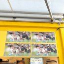 대맥명가찰보리빵 | 황리단길 길거리 음식 feat. 황금십원빵, 황남빵, 대맥명가 찰보리빵, 황남쫀드기, 황남옥수수, 황남샌드