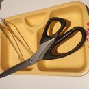 꿀통 옥정점 | 옥정동 돈까스 히마와리 또 오고 싶은 곳