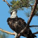 휴식 Ⅱ 이미지