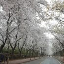 우천중학교 이미지