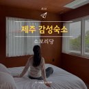 소보리당 | 서귀포 감성숙소 추천 제주 소보리당 중문 신상 독채펜션
