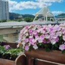 무주읍196 이미지