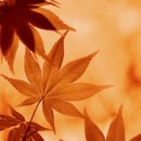 아리랑행정사합동사무소 이미지