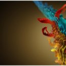 멘토영어전문학원 이미지