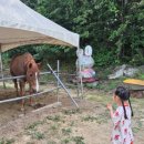 수원-0768 이미지