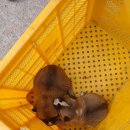 풍기성심요양병원 이미지