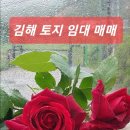 생림(기장) 이미지