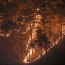 250324 지리산 자락 경남 산청 주민들… “평생 이런 불은 처음” 이미지