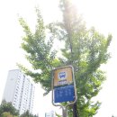 동아우성아파트.효자촌.시범단지 이미지