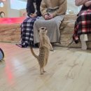 한밭대로570번길 | 대전서구호텔추천 호텔침구에 조식가능한 워커스호텔 대전 by아늑 플스 게임가능한 숙소
