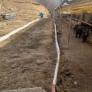 보라농장2 이미지