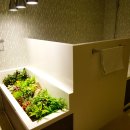 폴로(POLO)관광호텔 이미지