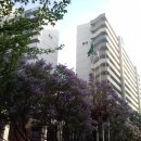 가양4단지 이미지