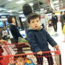 둥이마트 이미지