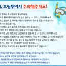 한진관광㈜ 이미지