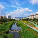 한국 국제행정사 이미지