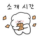 강아지 유치원 caredogs 이미지