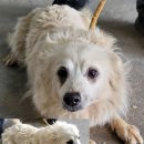 비전1로77번길 이미지