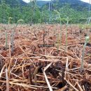 문식농장 이미지