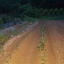 함박골농장 이미지