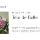 더벨르 이미지